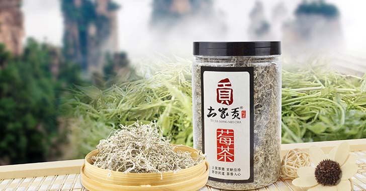 莓茶的那些历史文化和传说