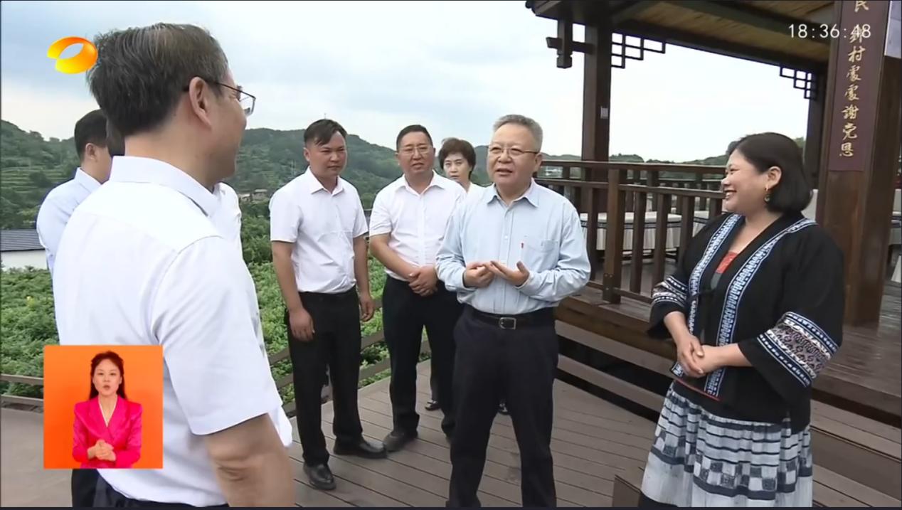 6月21日，湖南省委书记沈晓明来到三家馆村【土家贡】莓茶生产基地，了解产业发展、乡村振兴等情况。
